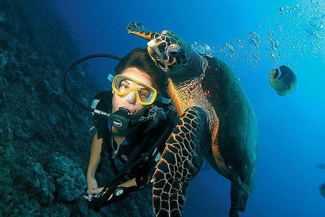 Antalya'da adrenalin dolu Tüplü Dalış