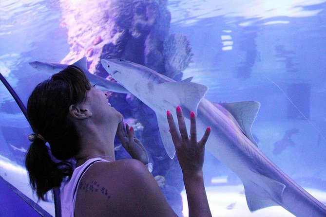 安塔利亚隧道水族馆 - 从侧面出发