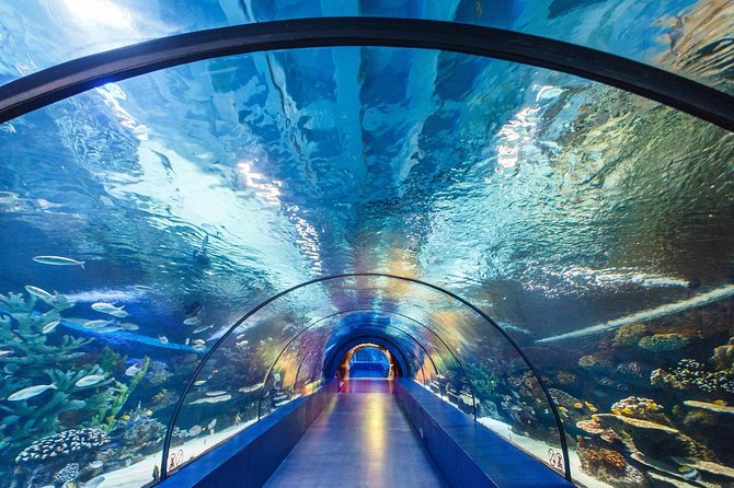 Antalya-Tunnel-Aquarium mit Face2Face-Transfers inklusive