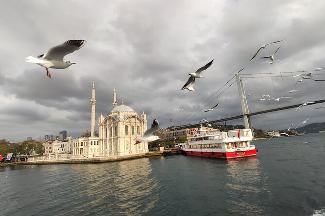 Crociera sul Bosforo di 2 ore a Istanbul con guida