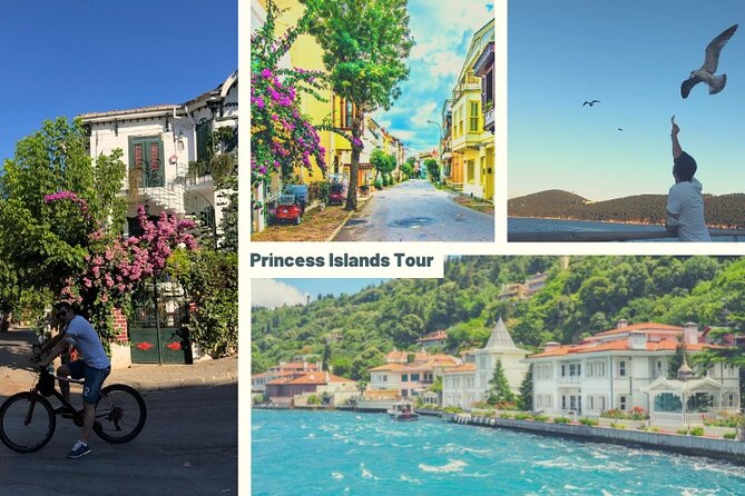 Tour zu den Prinzessinneninseln (Heybeli und Büyükada) mit Mittagessen und Führer