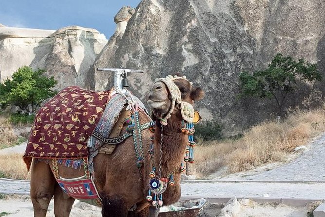 احصل على الحدبة على ركوب الجمال في كابادوكيا