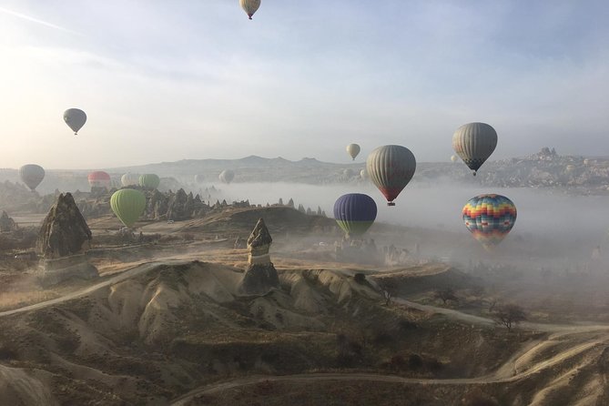 全日摄影野生动物园 - 私人旅游