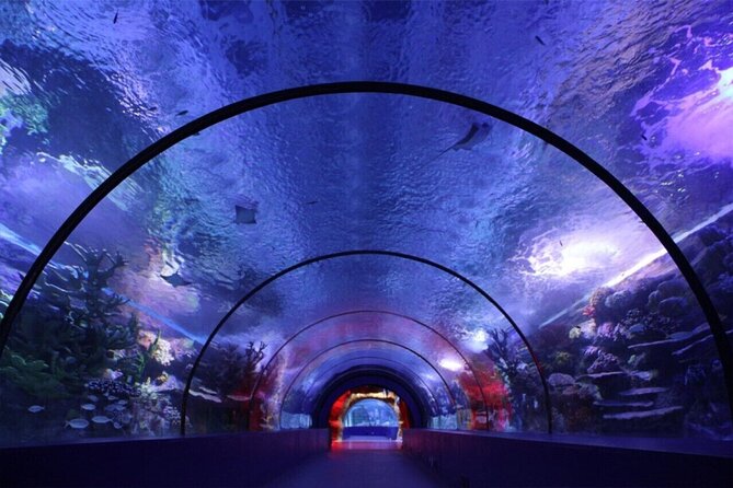 Antalya's Aquarium öğle yemeği ile rehberli günlük tur;Solo;Grup