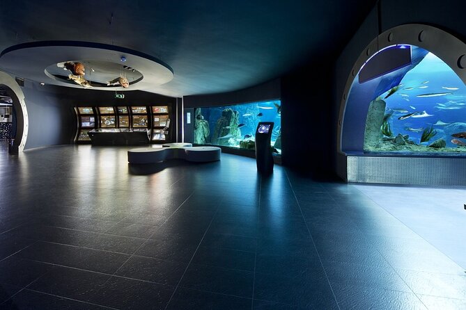 Visite de l'aquarium d'Istanbul et du centre commercial Aqua Florya