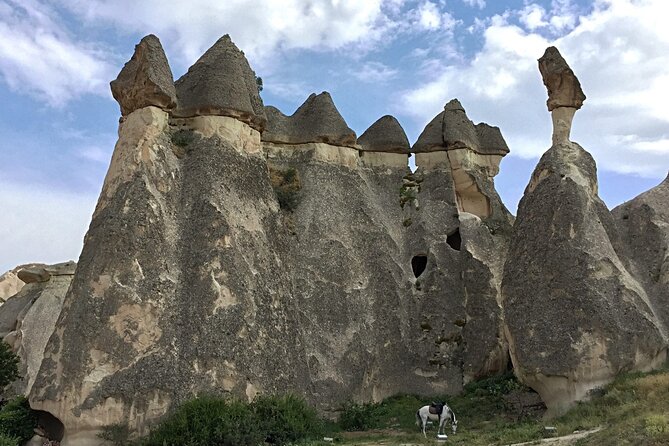 Transfert privé: région de Cappadoce à l'aéroport de Nevsehir NAV en van de luxe