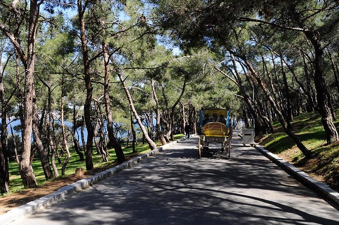 Visite de l'île des Princes avec Phaeton à Istanbul avec déjeuner