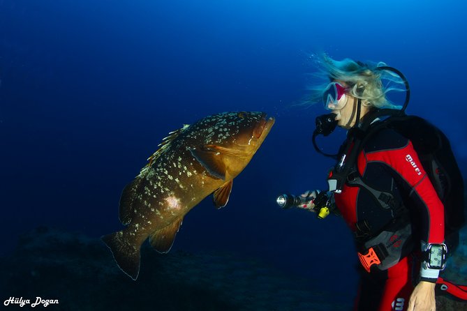 Apprendre à plonger Cours PADI Open Water Diver