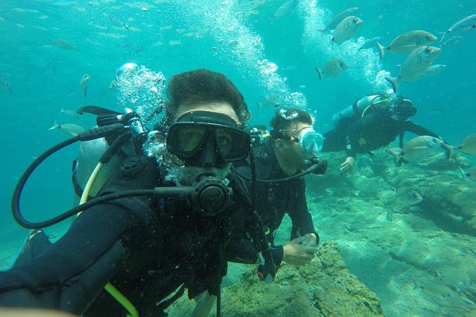 Scuba Diving Experience from Side