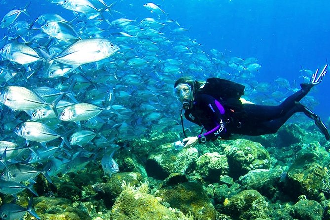 潜水和水上运动之旅