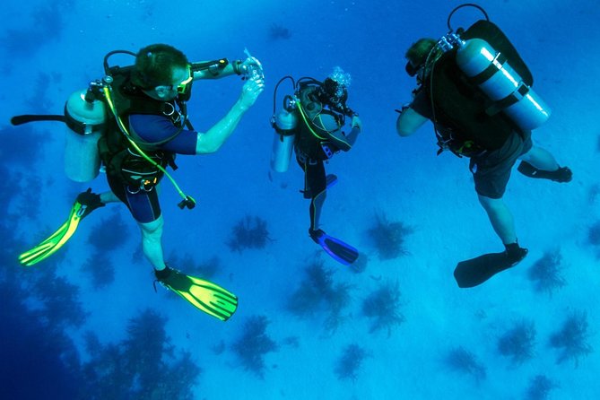 Buceo en Kusadasi