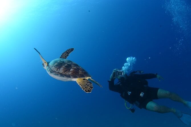 Expérience de plongée sous-marine à Marmaris