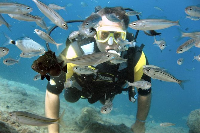 Expérience de plongée sous-marine à Alanya