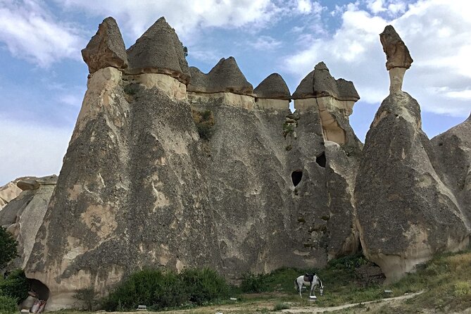 Privater Transfer: Kappadokien-Zentrum zum Flughafen Kayseri ASR im Luxus-Van