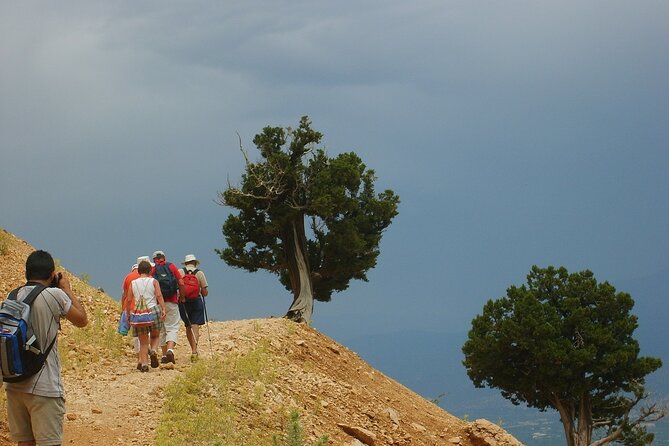 8-tägige Tour in Kas mit Transfer