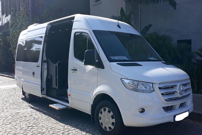 Arrivo Trasferimento privato dall'aeroporto di Bodrum BJV alla città di Bodrum in minibus