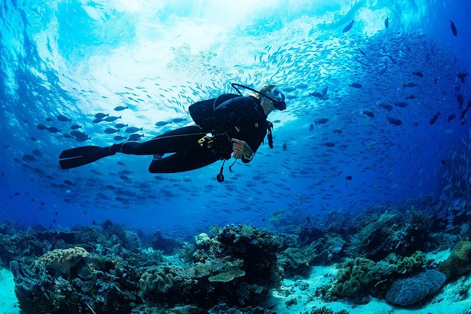 Expérience de plongée sous-marine à Oludeniz