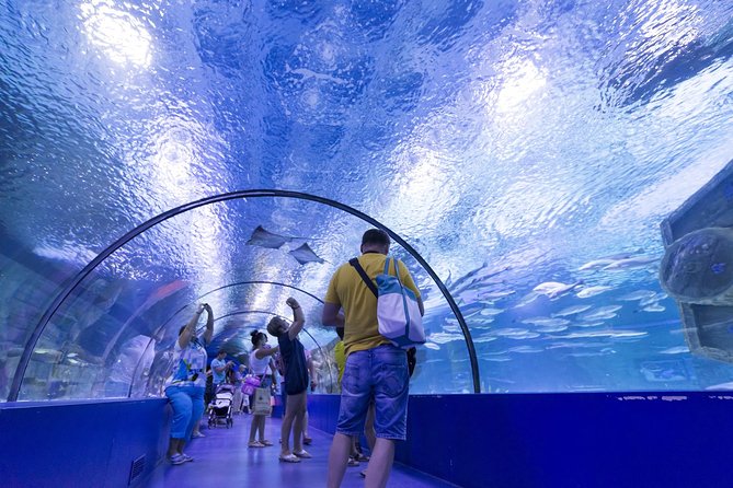 Acquario e museo delle cere Face2Face di Kemer