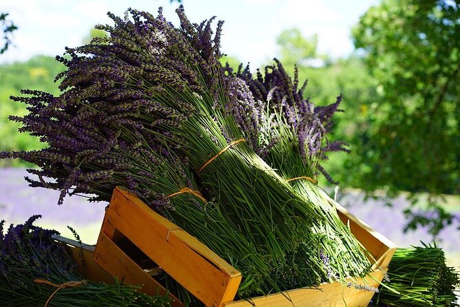 Lavender Tour from Pamukkale with drop off Denzili Airport