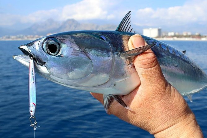 Côté expérience de pêche