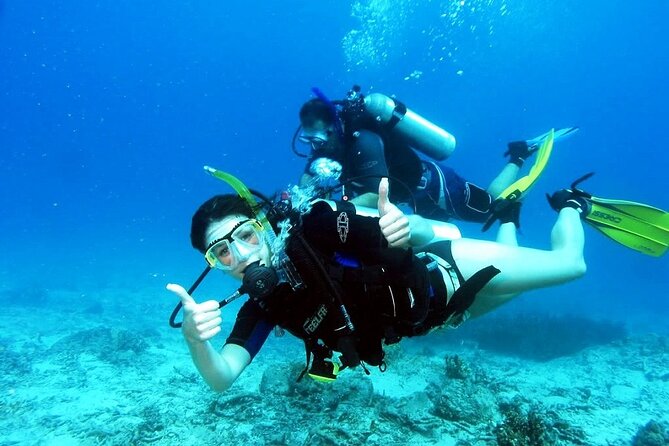 Plongée sous-marine à Kusadasi