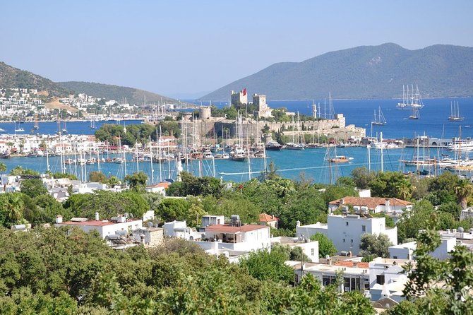 Escursione a terra di Bodrum: tour privato delle attrazioni della città di mezza giornata