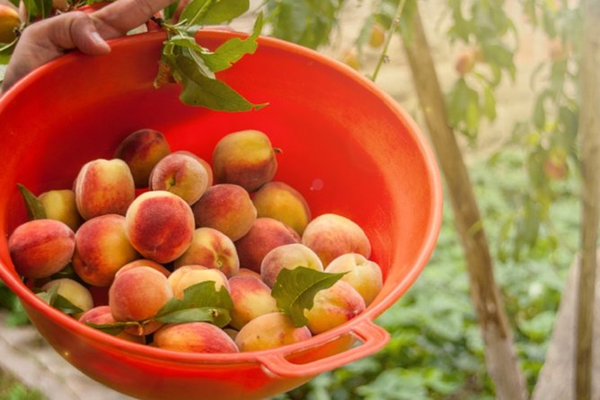 جولة بيئية-تذوق الطعام في اسطنبول لمدة 9 أيام ، توكات ، سيفاس ، كابادوكيا