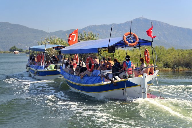 Tour di un giorno ai bagni di fango di Dalyan e Turtle Beach da Fethiye