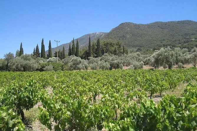 Kuşadası'ndan Efes ve Kirazlı Köyü'ne Özel Tur