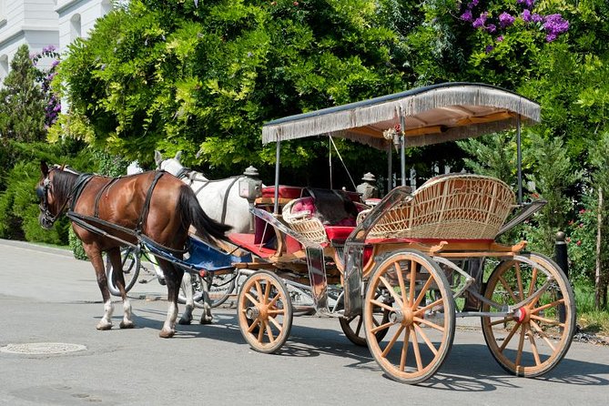 İstanbul'dan Öğle Yemeği ile Büyükada Prensler Adası Rehberli Günlük Tur