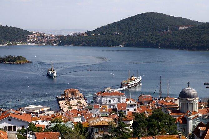 Excursion d'une journée aux îles des Princes d'Istanbul avec déjeuner