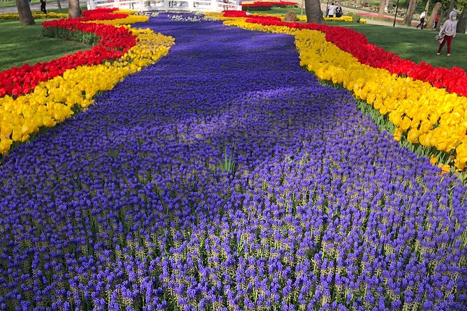 Visite guidée des tulipes dans le parc Emirgan avec trajet en ferry sur le Bosphore