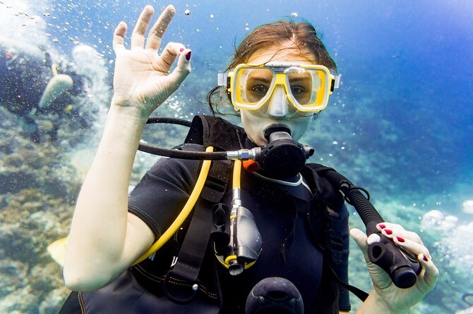 サイドの素晴らしい水中博物館でのダイビング