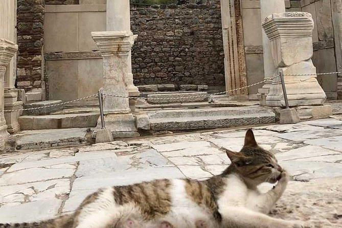 Excursion d'une journée à Éphèse et au temple d'Artémis au départ d'Izmir