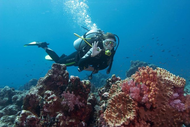 Plongée sous-marine dans la région de Marmaris