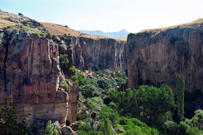 Visite verte en petit groupe (visite sud)