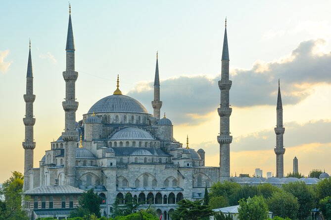 Visite à pied d'une demi-journée des magnifiques mosquées d'Istanbul