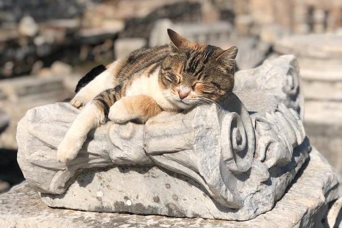 Tour di mezza giornata per piccoli gruppi di Efeso