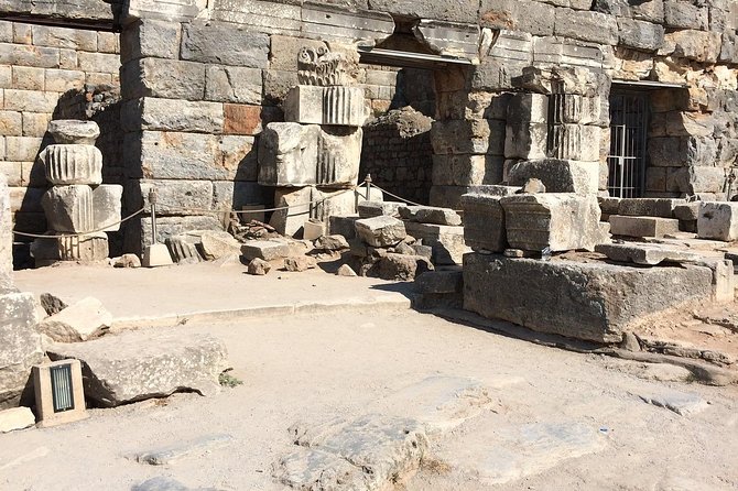 Tour giornaliero di Efeso con partenza da Pamukkale incluso Trasferimento in treno Selcuk