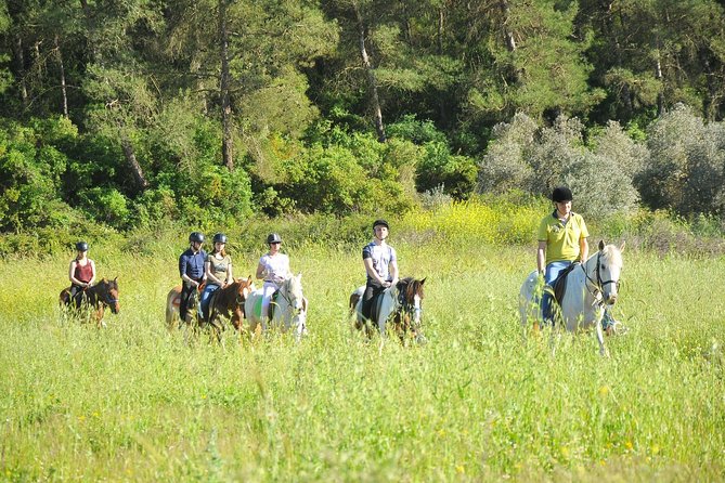 Kuşadası At Safarisi