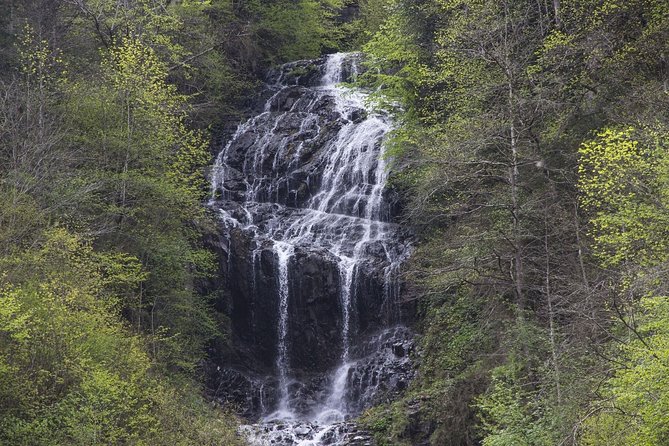 The Hidden Lake & more Guided tour; Solo; Groups