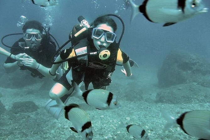 Öğle Yemeği ile Alanya'da Tam Gün Tüplü Dalış