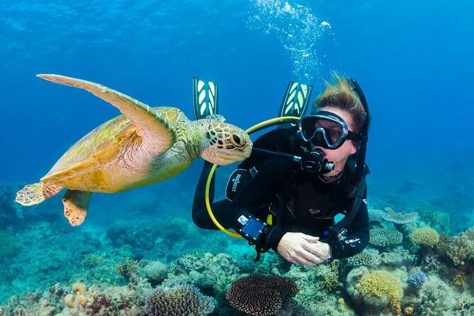 Alanya'da Öğle Yemeği ve Karşılama Dahil Tam Gün Tüplü Dalış Deneyimi