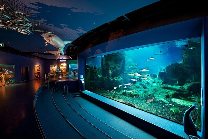 Aquarium İstanbul Giriş & Öğle Yemeği & Aqua Florya Shopping