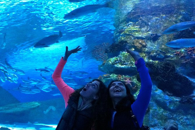 Acquario e museo delle cere Face2Face di Antalya