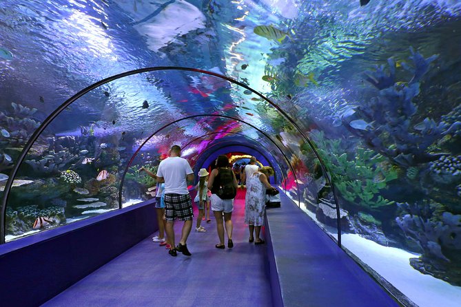 Entrée à l'aquarium d'Antalya avec visite facultative de la ville d'Antalya et cascade de Duden