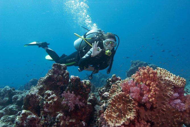 Scuba Diving from Antalya