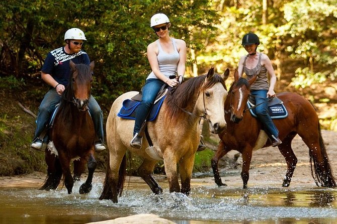 Équitation De Bodrum