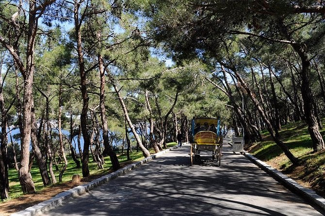 Visite de l'île des Princes avec Phaeton à Istanbul