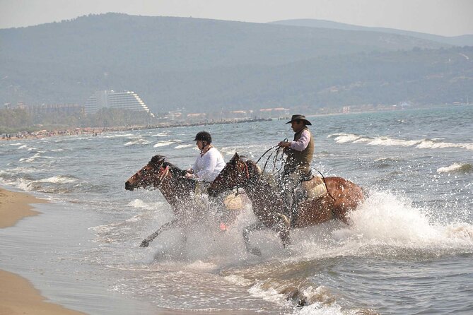 Passeggiate a cavallo dagli hotel di Kusadasi / Selcuk